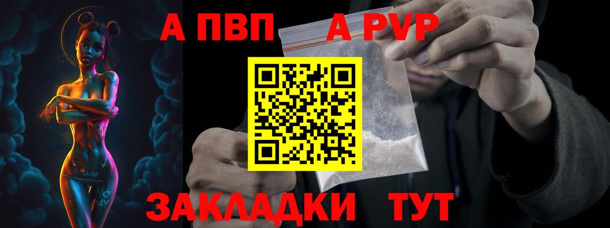 Альфа ПВП крисы CK Кандалакша